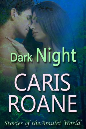 Cover of the book Dark Night by Alisha Basso