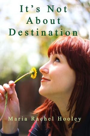 Cover of the book It's Not About Destination by Beth Ellen Nash