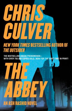 Cover of the book The Abbey by Cheryl Brooks
