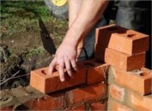 Cover of the book How to Build a Brick Wall by Irene Becker