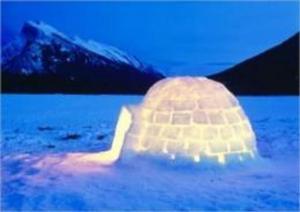 Cover of the book How to Build an Igloo by John Auburn
