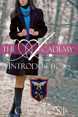 Book cover of The Academy - Introductions
