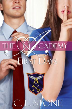 bigCover of the book The Academy - First Days by 