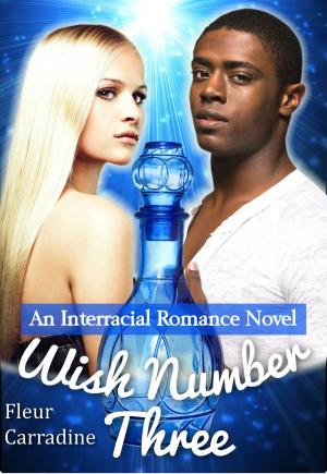 Cover of the book Wish Number Three: An Interracial Romance Novel by Catelyn Silver