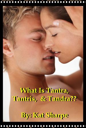 Book cover of What is Tantra, Tantris, and Tandra?