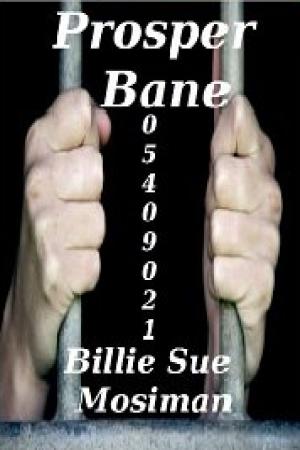 Cover of the book PROSPER BANE by Grace Egert, DiAnn Mills