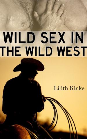 Cover of the book Wild Sex in the Wild West by Francisco Martín Moreno