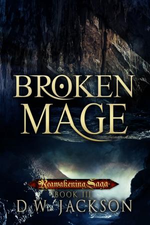 Cover of the book Broken Mage by C.M.J. Wallace