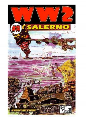Book cover of World War 2 Salerno