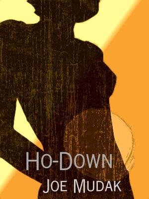 bigCover of the book Ho-Down by 