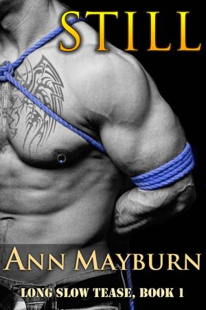 Cover of the book Still (Military Romance) by Ann Mayburn