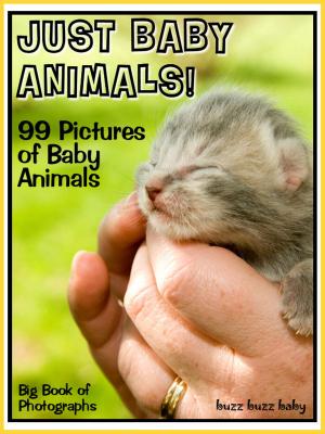 Book cover of 99 Pictures: Just Baby Animal Photos! Big Book of Baby Animal Photographs Vol. 1