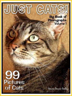 Cover of 99 Pictures: Just Cat Photos! Big Book of Feline Photographs, Vol. 1