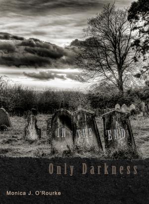 Cover of the book In The End, Only Darkness by Scott Overton
