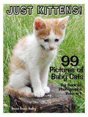 Cover of 99 Pictures: Just Kitten Photos! Big Book of Baby Cat Photographs Vol. 1