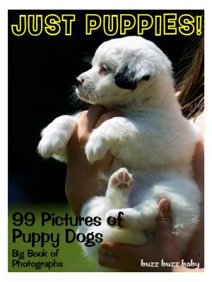 Cover of 99 Pictures: Just Puppies Photos! Big Book of Puppy Dog Photographs Vol. 1
