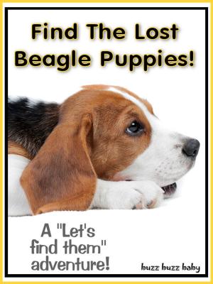 Book cover of Find The Lost Beagle Puppies!