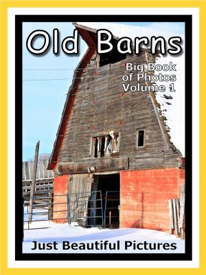 Book cover of Just Barn Photos! Photographs & Pictures of Barns, Vol. 1
