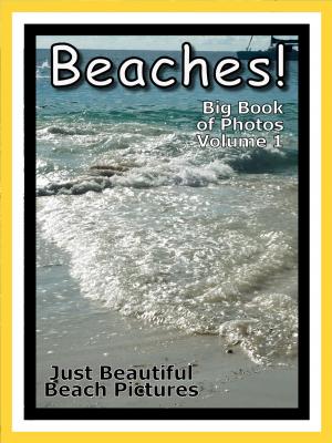 Book cover of Just Beach Photos! Big Book of Ocean Beaches Photographs & Pictures Vol. 1
