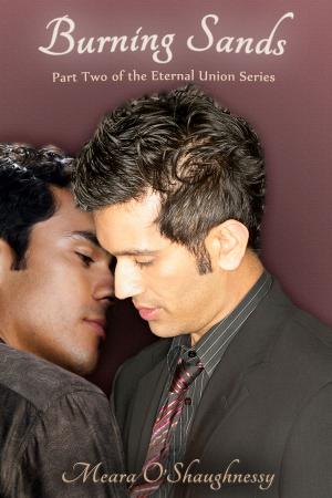 Cover of Burning Sands (gay romance)