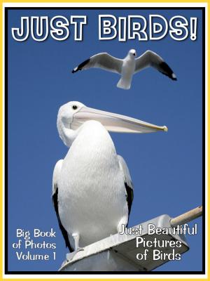 Book cover of Just Bird Photos! Big Book of Photographs & Pictures of Birds, Vol. 1