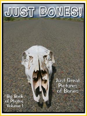 Book cover of Just Bone Photos! Big Book of Photographs & Pictures of Bones, Vol. 1