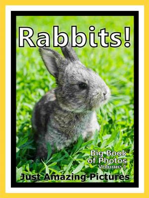 Book cover of Just Bunny Rabbit Photos! Big Book of Photographs & Pictures of Bunnies & Rabbits, Vol. 1