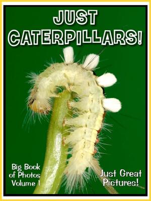 Book cover of Just Caterpillar Photos! Big Book of Photographs & Pictures of Caterpillars, Vol. 1