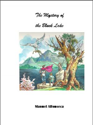 Book cover of The mystery of the Black Lake