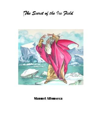 Book cover of The secret of the ice field