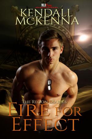 Cover of the book Fire For Effect by AKM Miles