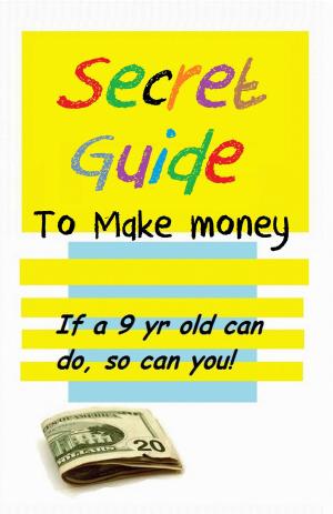 Cover of the book Secret Guide to make money by Amanda Brooks