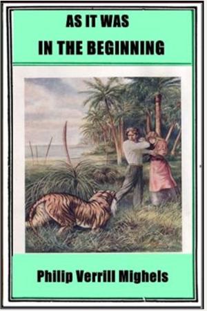 Cover of the book As It Was in the Beginning by William Macleod Raine