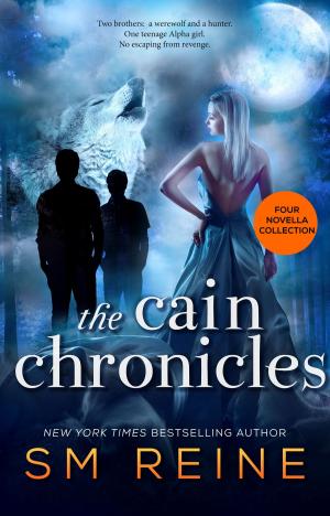 Cover of the book The Cain Chronicles by Lucy Gordon