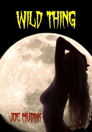 Cover of the book Wild Thing by Joe Mudak