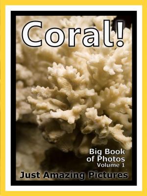Cover of Just Coral Photos! Big Book of Photographs & Pictures of Underwater Sea Coral, Vol. 1