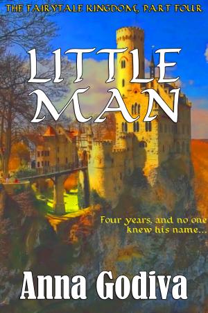Cover of the book Little Man by Paul R. Hardy