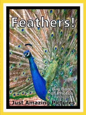 Book cover of Just Feather Photos! Big Book of Photographs & Pictures of Feathers, Vol. 1