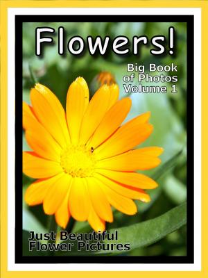 Book cover of Just Flower Photos! Big Book of Flowers Photographs & Pictures, Vol. 1