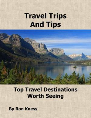 Cover of Travel Trips and Tips