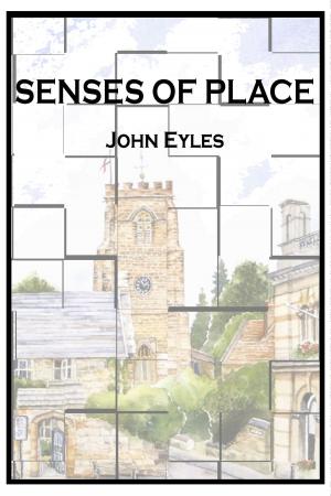 Cover of the book Senses of Place by Robert Paul Wolff