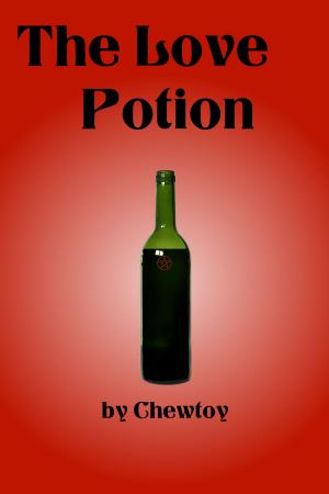 Cover of the book The Love Potion by Anne Haché, Eclats de lire