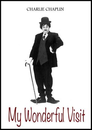 Cover of the book My Wonderful Visit by Gustave Flaubert