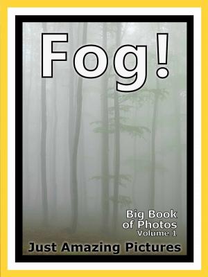 Cover of Just Fog Photos! Big Book of Photographs & Pictures of Foggy Mist, Vol. 1