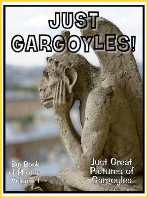 Book cover of Just Gargoyle Photos! Big Book of Photographs & Pictures of Gargoyle Statues, Vol. 1