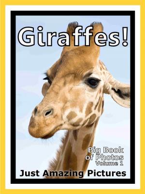 Book cover of Just Giraffe Photos! Big Book of Photographs & Pictures of Giraffes, Vol. 1