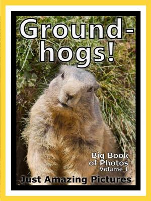Book cover of Just Groundhog Photos! Big Book of Photographs & Pictures of Groundhogs, Vol. 1