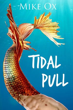 Cover of the book Tidal Pull by Randy Boyd