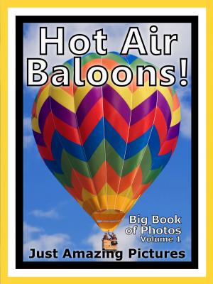 Book cover of Just Hot Air Balloon Photos! Big Book of Photographs & Pictures of Hot Air Balloons, Vol. 1