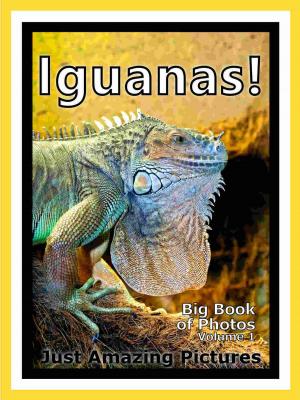 Book cover of Just Iguana Lizard Photos! Big Book of Photographs & Pictures of Iguana Lizards, Vol. 1